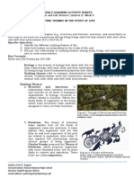 Figure 1 Concept of Structure and Function: Philippine-Eagle