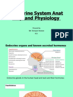 Endocrine System Anatomy and Physiology.