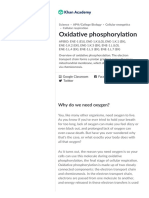 Oxidative Phosphorylation - Biology (Article) - Khan Academy - 1623380772260