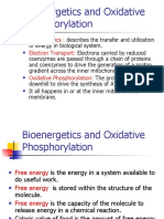 Bioenergetics and Oxidative Phosphorylation