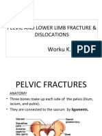 Lower Limb Fracture..Me