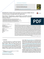 Scientia Horticulturae Potato