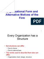 Anizational Form and Alternative Motiv