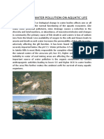 Effects of Water Pollution On Aquatic Life