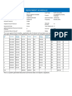 Repayment Report-33