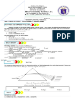 St. Blaise Community Academy, Inc.: Forms of Energy - Light