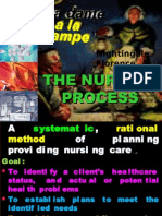 The Nursing Process