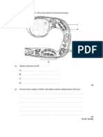 3.1.3 Cell and Transport