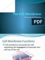 1 - Cell Membrane