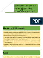 Hunting of Wild Animals and Protection of Specified Plants