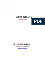 RAC12c Theory Guide v8.0