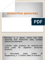 End Pancreas