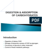 Digestion & Absorption of Carbohydrates