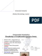 Entamoeba Histolytica (Medical Microbiology-Jawetz)