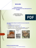 Micología:Basidiomycota-Clase Hymenomycetes