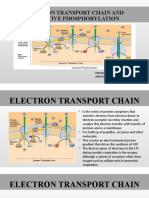 Electron Transport Chain and