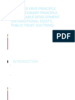 Polluter Pays Principle Precautionary Principle Sustainable Development (Integrational Equity, Public Trust Doctrine)