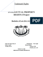 Intellectual Property Trademark Rights