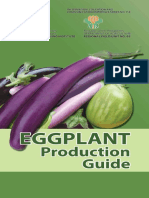 Eggplant