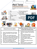 Present Perfect Worksheets 1