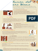 Evolución Del Género Homo