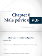 Male Pelvic Organ 1