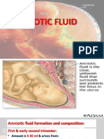 Amniotic Fluid