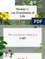 Module 1 - The Foundation of Life