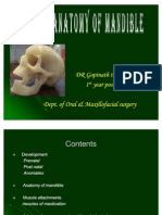 Surgical Anatomy of Mandible Dept