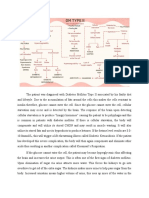 Pathophysiology DM Type Ii