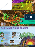 Micro CH 2a Structure