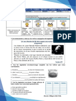 Comunicación-Ficha de Trabajo - Los Verbos - Tiempo, Persona y Número