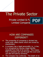 The Private Sector