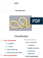 Class Cestodes-Tape Worm