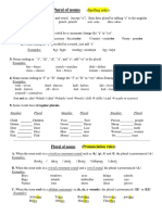 Plural of Nouns - Rules