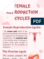 Female Reproduction Cycles