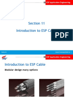 Section 11 ESP CABLE