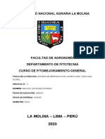 Informe 2