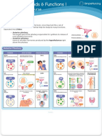 Anterior Pituitary