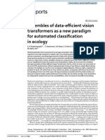 Ensembles of Data Efficient Vision Transformers As A New Paradigm For Automated Classification in Ecology