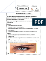 Fichas de Ciencia y Ambiente Teoría Sentido de La Vista Segundo Grado de Primaria