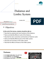 18 - Thalamus and Limbic System (Edited)