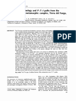 40 Ar 39 Ar Geochronology and P T T Path