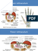 Intrinsic Muscles of Hand 1