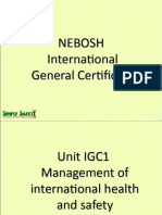 Nebosh IGC1 - C Version Training Materials