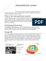 The Endomembrane System