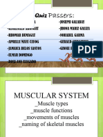 Muscular System