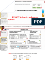 Lesson-4 Genetics and Punette Squares