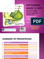 PP14 Photosynthesis The Process