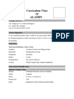 Alamin: Curriculum Vitae